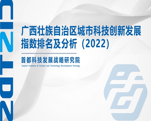 骚女操逼视频【成果发布】广西壮族自治区城市科技创新发展指数排名及分析（2022）